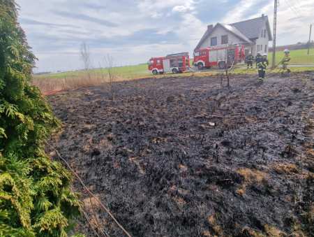 Od traw zajęła się elewacja i podbitka